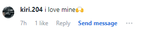 Instagram Comment 3